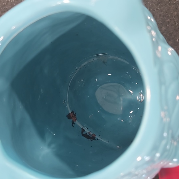 Beauty Bundle! - Picture 2 of 12